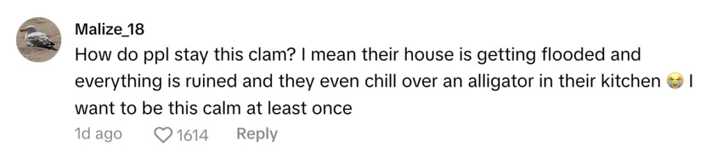 TikTok comment